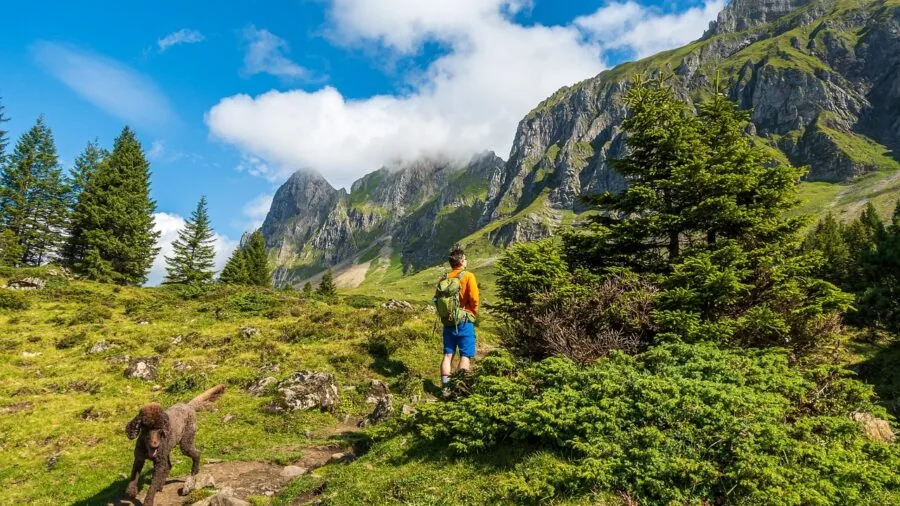 Active dog hiking on mountain trail with owner in natural landscape