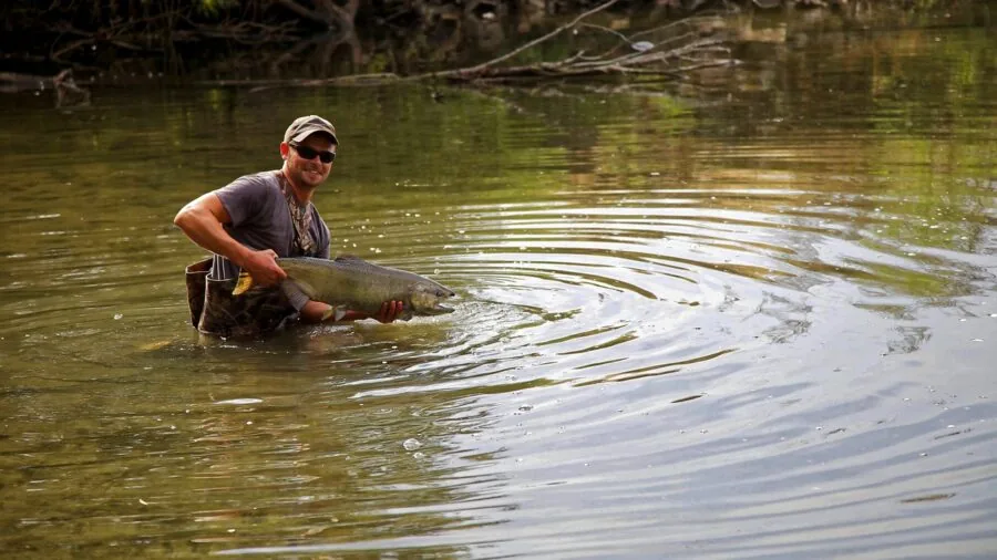 Angler in waders standing in shallow river during outdoor fishing adventure