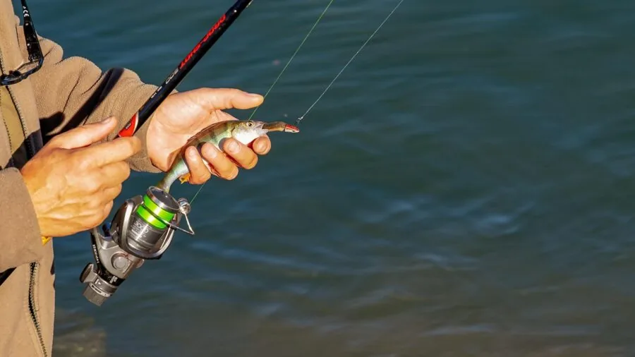 Angler standing in water wearing water-resistant fishing footwear during outdoor fishing activity