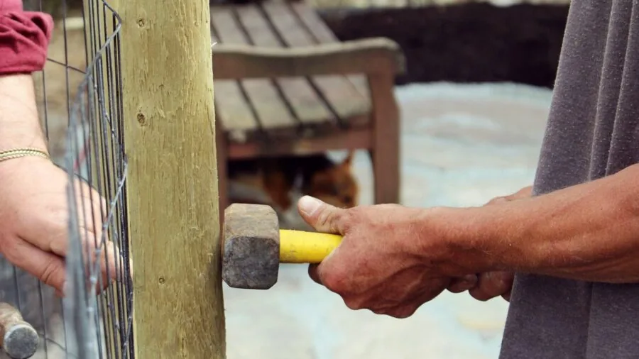 Artisan carefully working with quality hand tools on wooden workbench in natural light