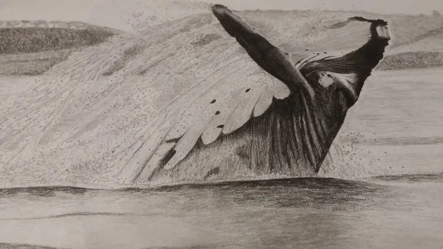 Artist hand drawing with graphite pencils on paper, showing different pencil grades and shading techniques