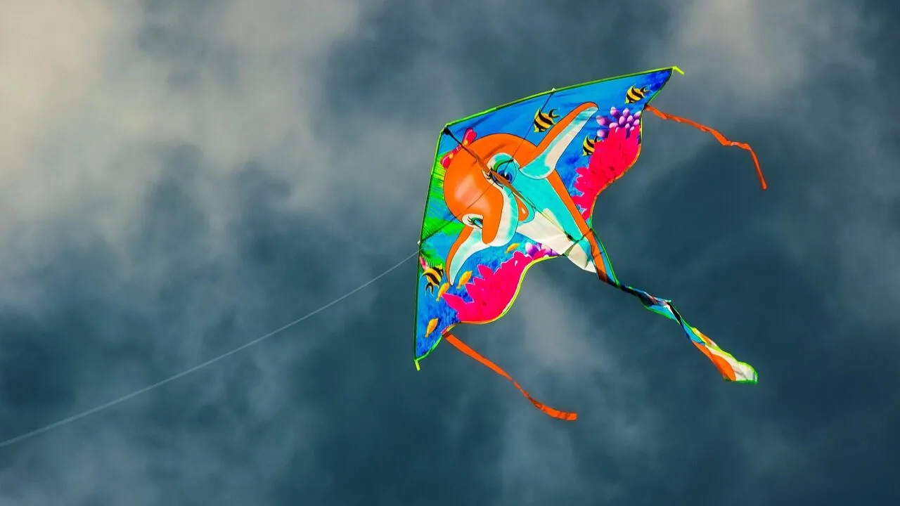 The Best Kites for Every Skill Level and Setting
