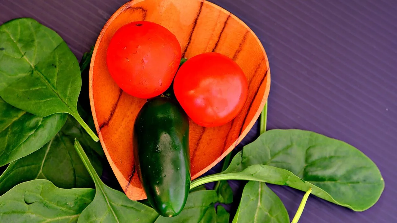 Baby Food Makers Worth Buying for Every Stage