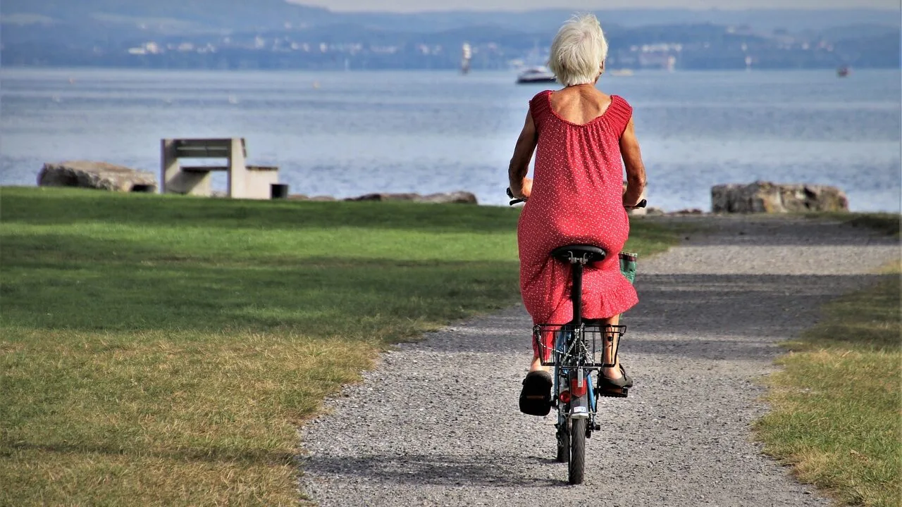 Balance bike positioned on outdoor ground surface in natural daylight