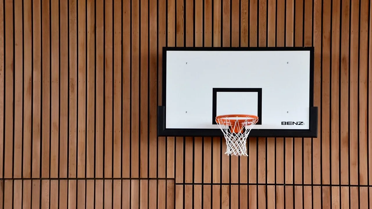Basketball hoop mounted on driveway with backboard and rim in natural light