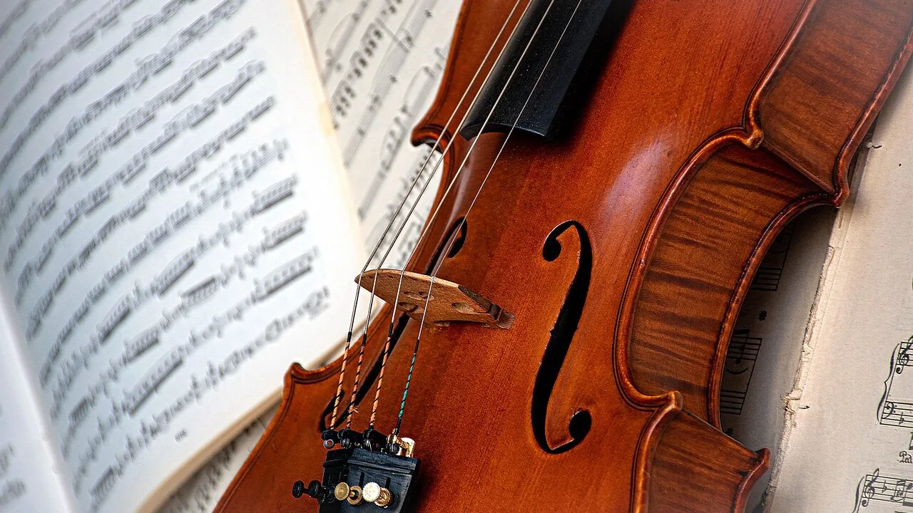 Best Beginner Violins for Every Player and Budget