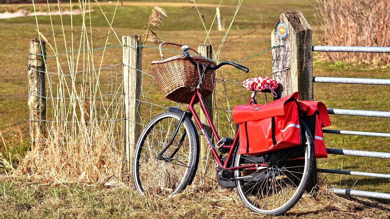 Bike Saddle Bags Worth Buying for Every Rider and Route