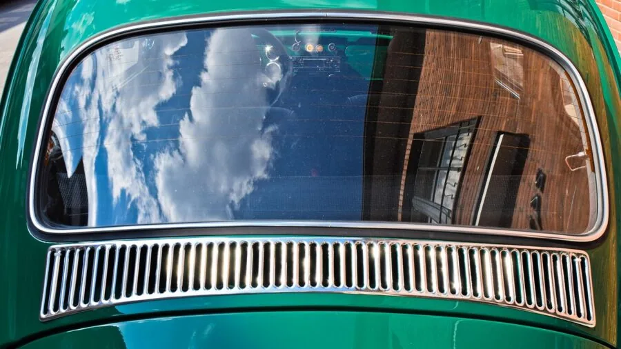 Bird looking out car window with fresh air flowing through open window during travel