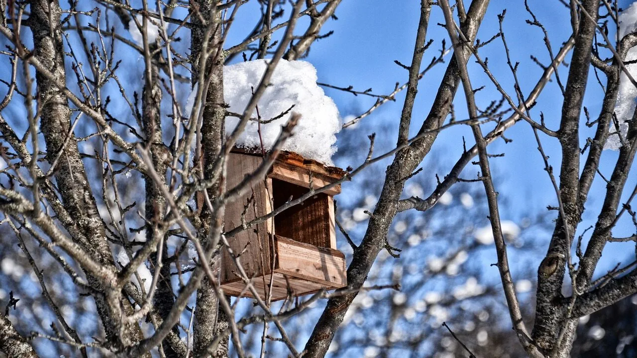 Bird Nesting Boxes Worth Buying for Every Species and Yard