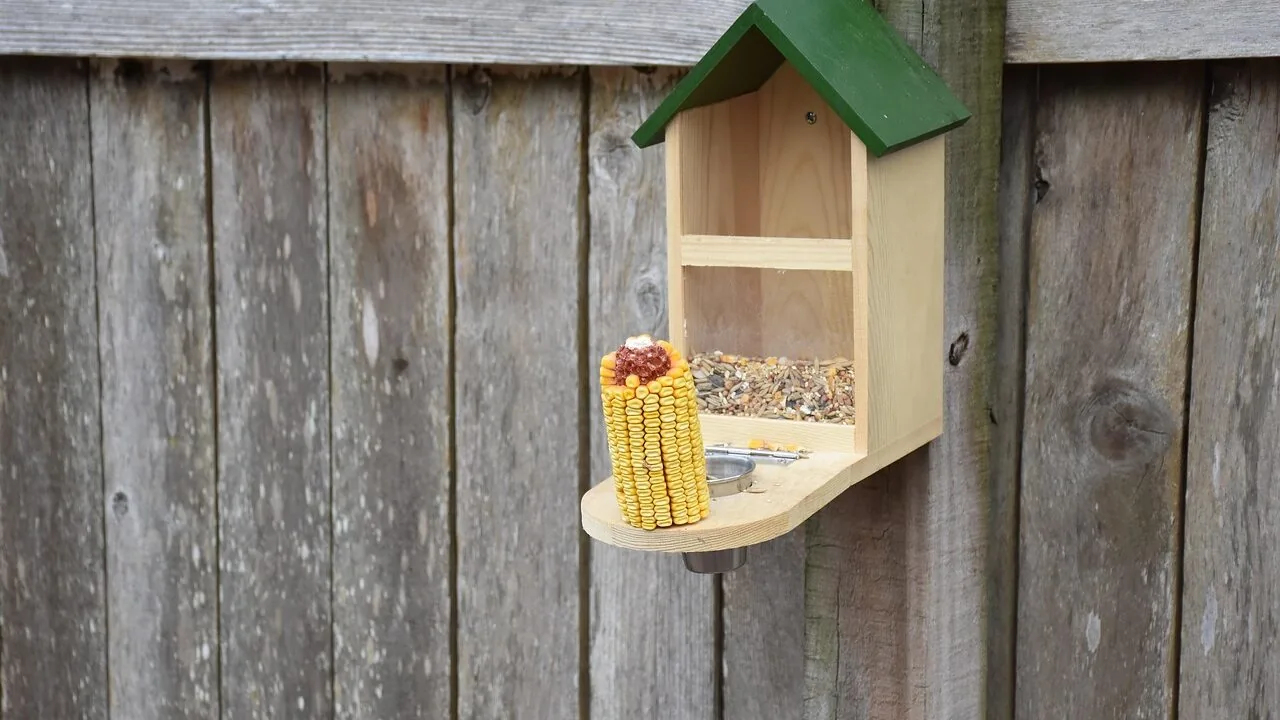 Bird Seed Catchers Worth Buying for Every Feeder Setup
