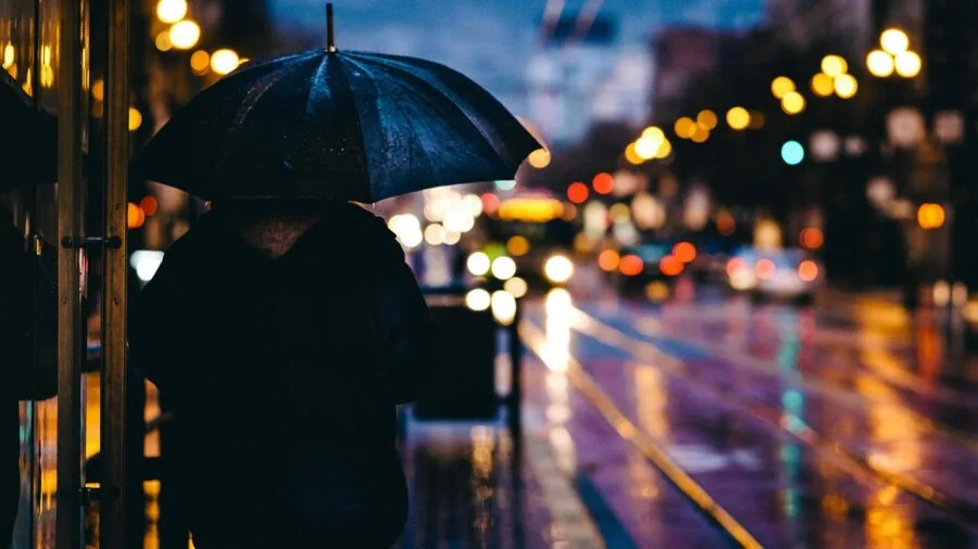 Birdwatcher observing wildlife in wet outdoor conditions during rainfall