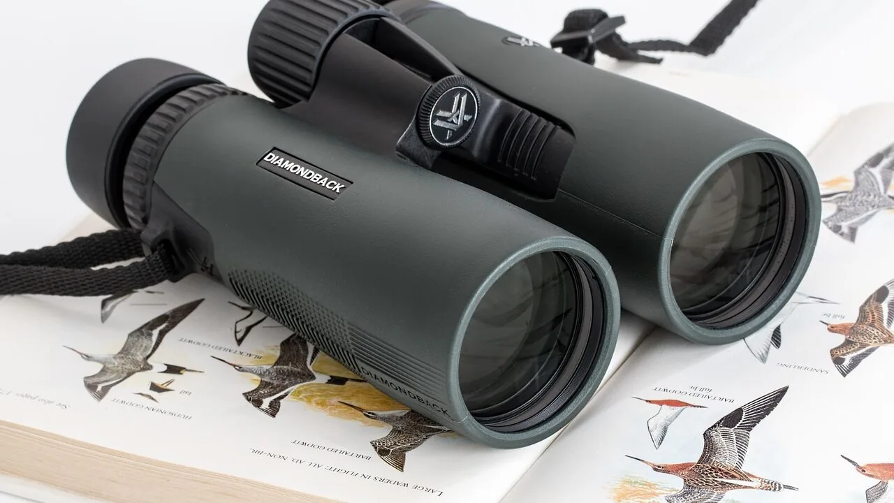 Birdwatching Binoculars Worth Buying for Every Budget