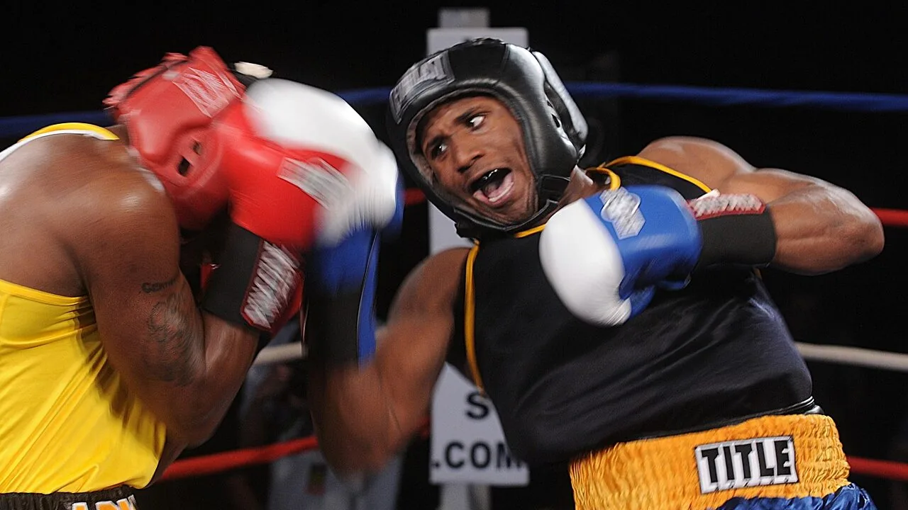 Free-Standing Punching Bags Worth Buying for Every Trainer