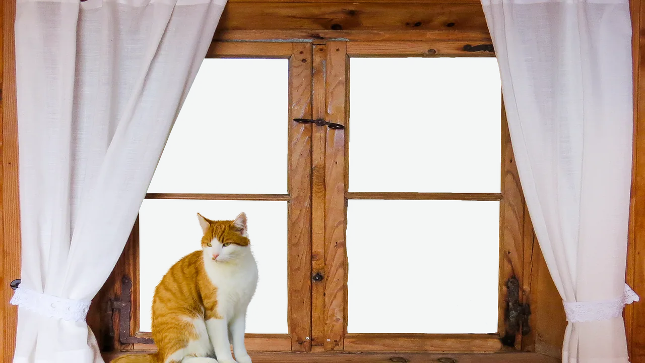 The Best Blackout Curtains for Every Nursery and Budget