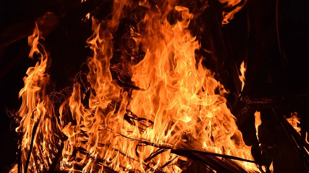 Blaze Orange Vests Worth Buying for Every Hunt and Budget