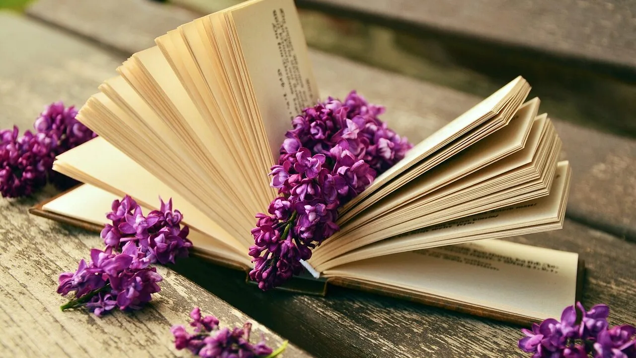 Book Stands Worth Buying for Every Reader and Budget