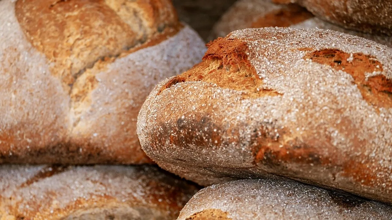 The Best Bread Boxes for Every Kitchen and Budget