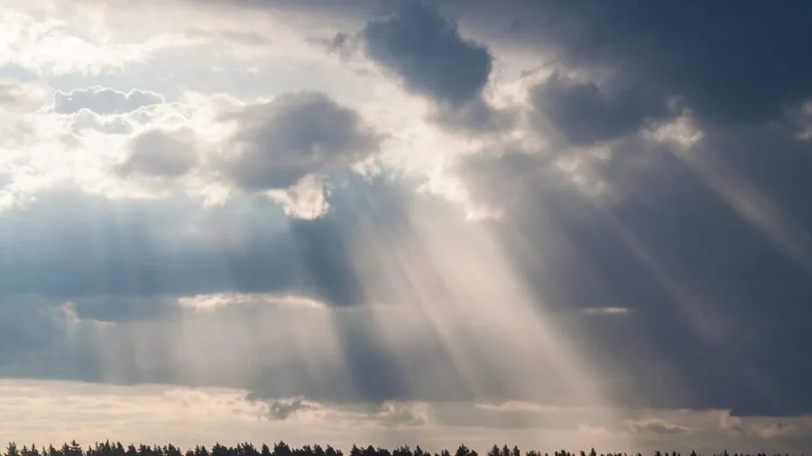 Bright sunlight illuminating outdoor landscape with natural lighting conditions