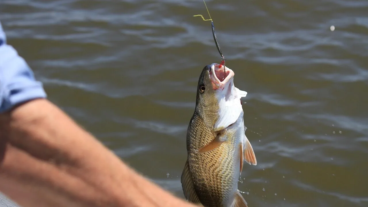 Casting fishing rod held over water ready to cast