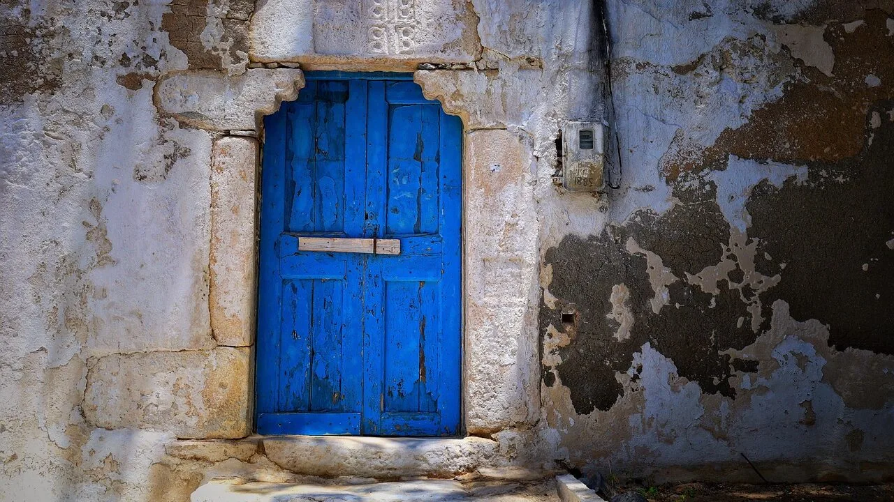 The Best Cat Doors for Every Home and Door Type