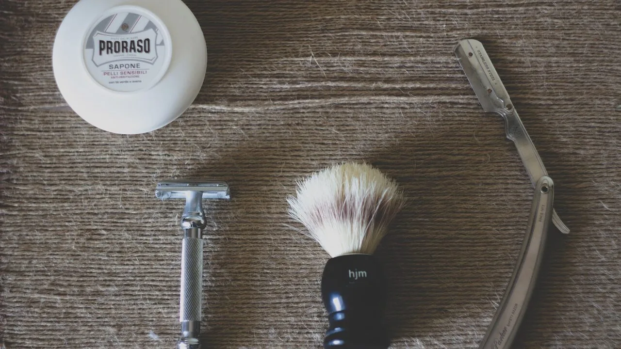 The Best Cat Grooming Brushes for Every Coat and Budget