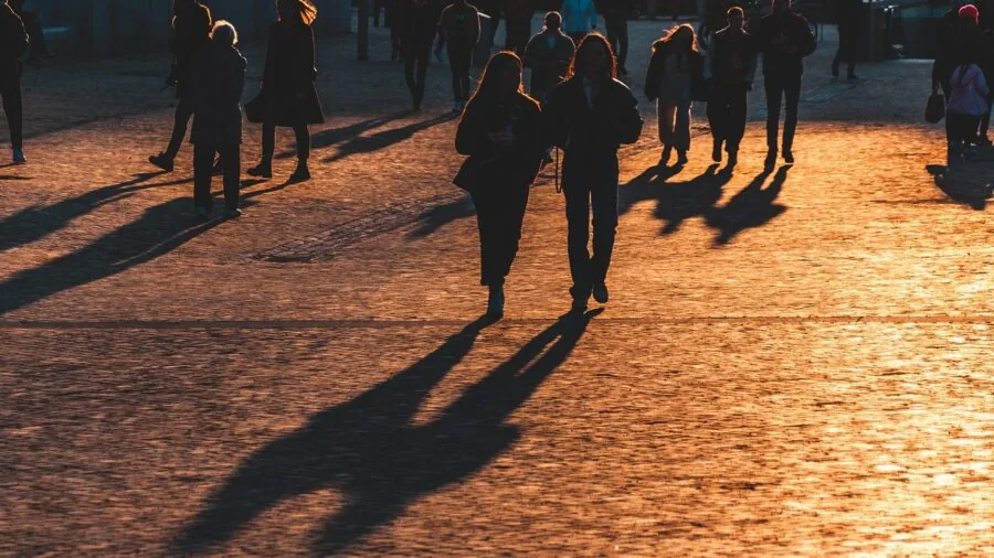 Cat on leash walking outdoors during dusk with improved visibility in low light conditions