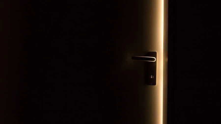 Cat passing through a doorway at home, demonstrating typical pet door size and access