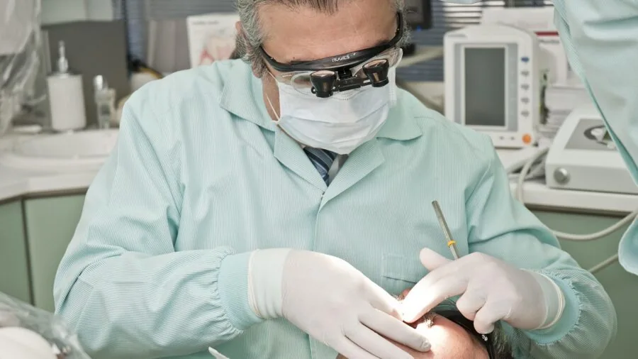 Cat playing with chew toy for dental health benefits