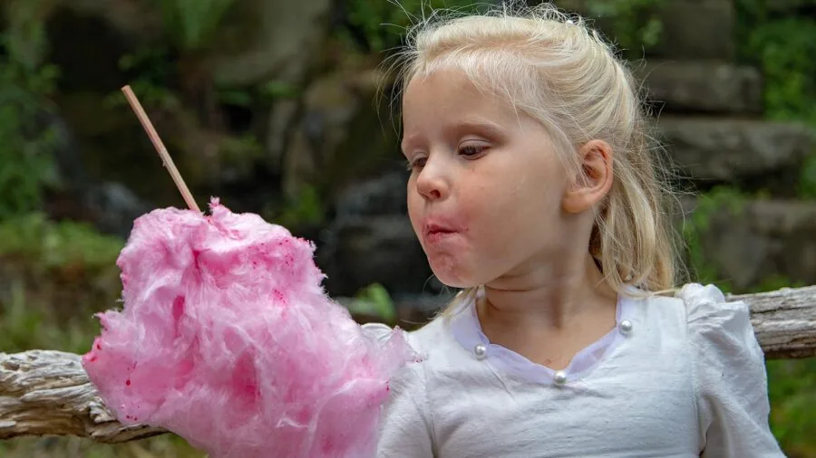 Child reaching up to collect pink cotton candy on stick at outdoor fair or carnival