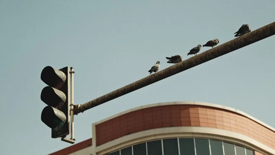 City buildings with wireless signal towers and network connections representing radio interference in dense urban areas