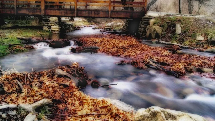 Clear water flowing and cascading over rocks in natural garden setting