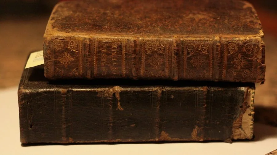 Close-up detail of high-quality full-grain leather showing natural texture and fiber structure