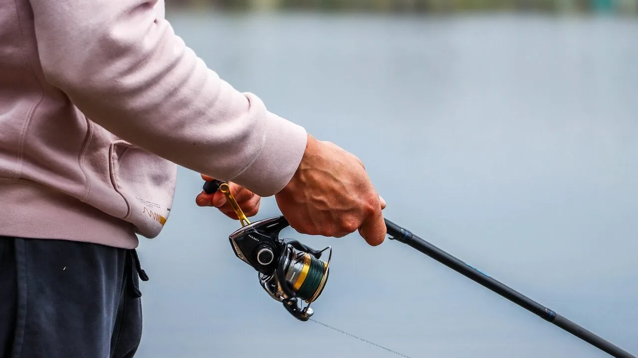 Baitcasting Reels Worth Buying for Every Angler and Budget
