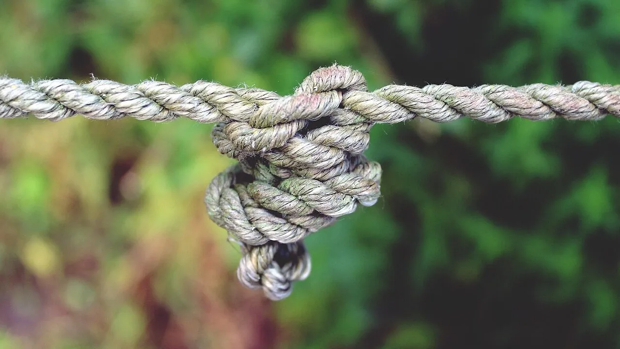 Braided Fishing Lines Worth Buying for Every Angler