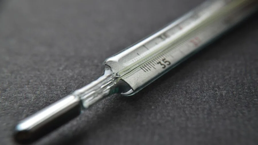 Close-up of chef checking meat temperature with instant read thermometer during cooking