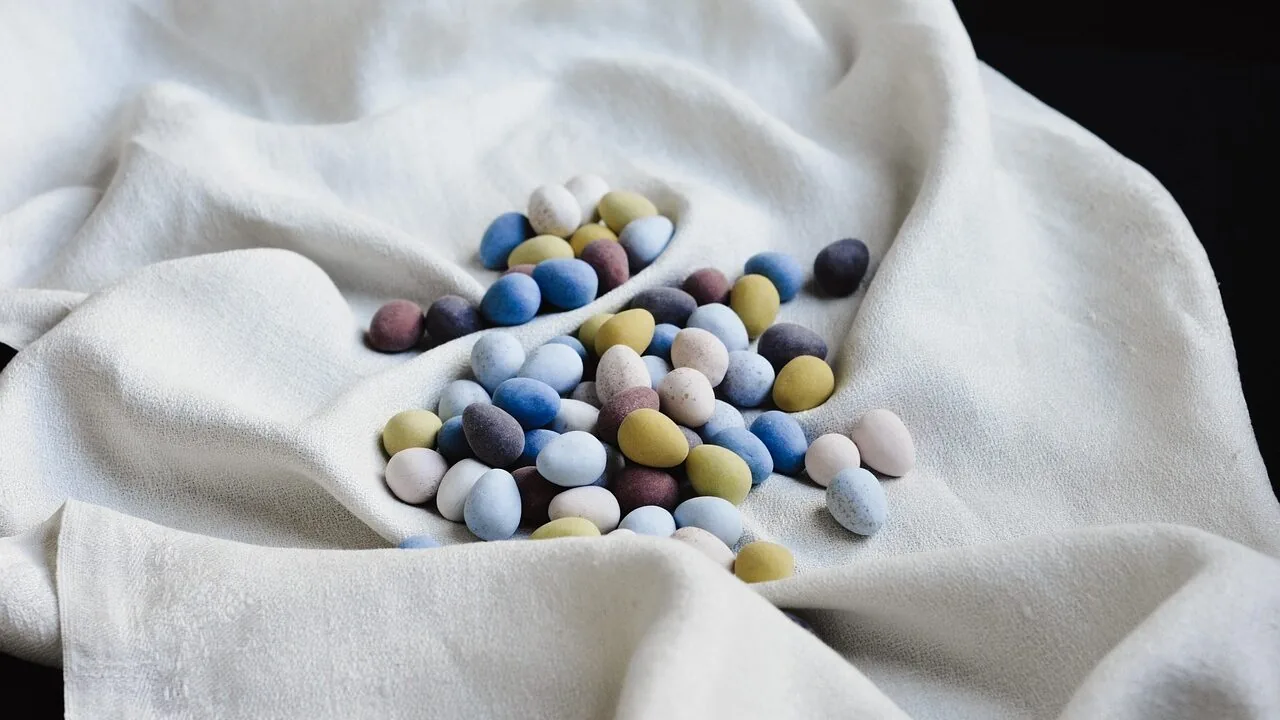 The Best Dog Calming Treats for Anxiety and Stress Relief