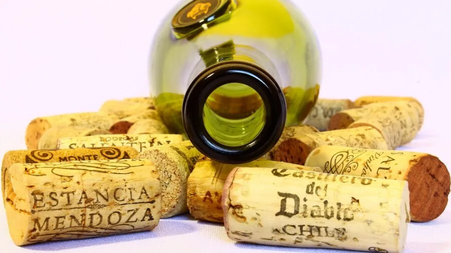Close-up of extracting cork from wine bottle during opening process