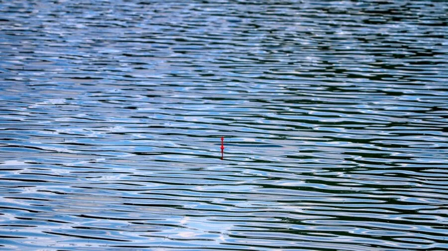 Close-up of fisherman inspecting hook point sharpness before casting into water