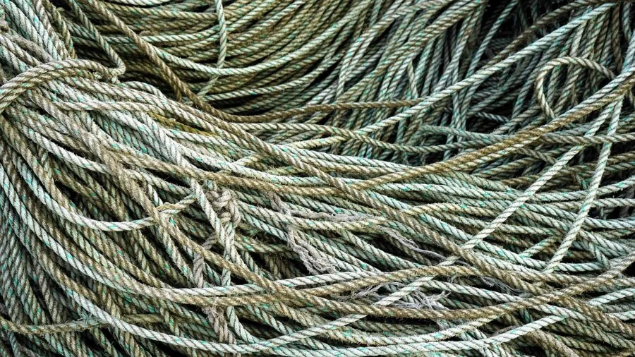 Close-up of fishing line being tested for breaking strength and durability in outdoor setting