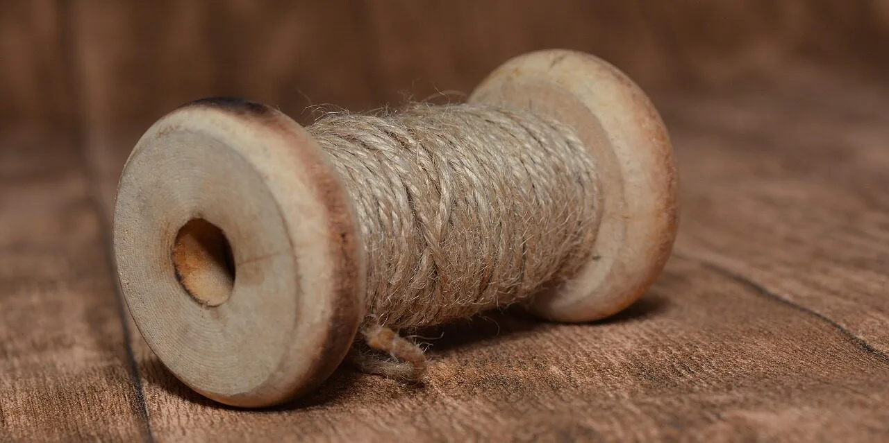 Fishing Lines Worth Buying for Every Angler and Budget