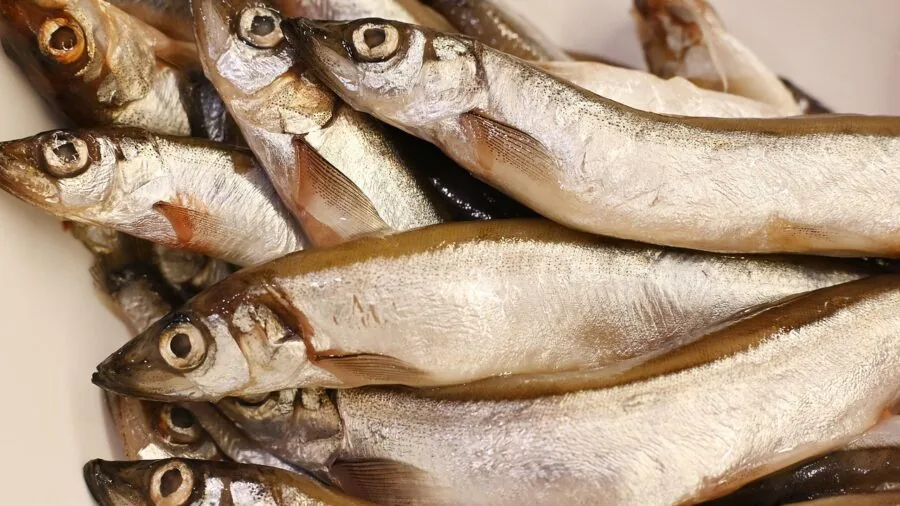 Close-up of hands expertly filleting a fresh fish at a wooden cutting board during food preparation