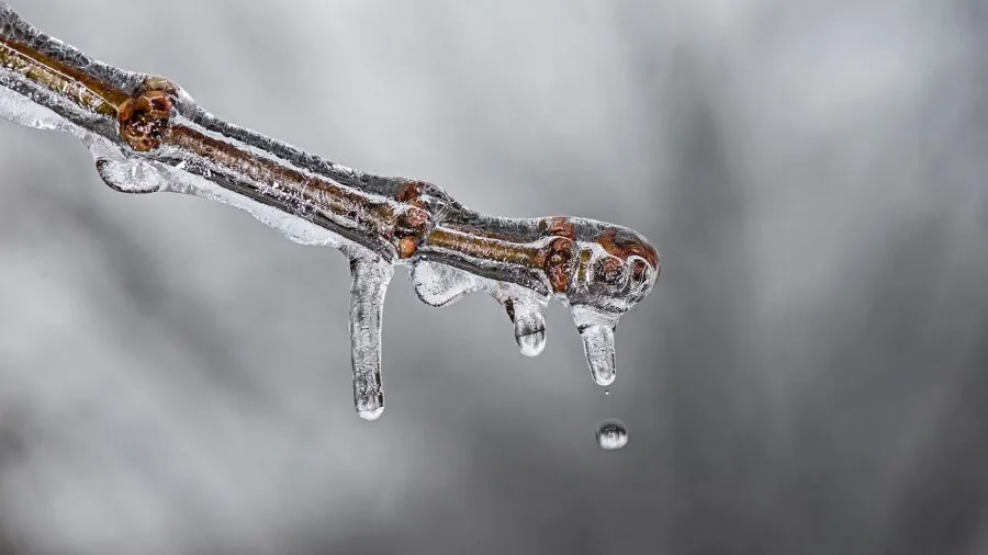 Close-up of melting ice in a cooler during an outdoor fishing trip on a sunny day