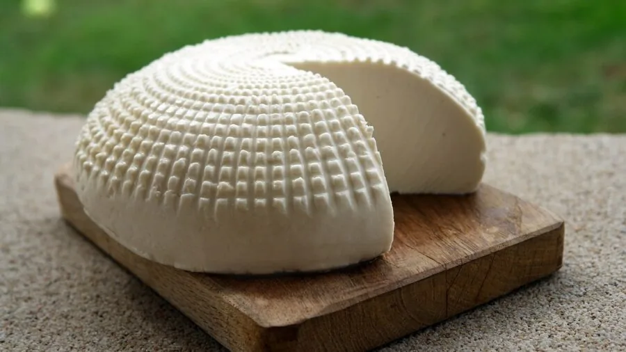 Close-up of natural ingredients and leather care products being examined on a wooden surface