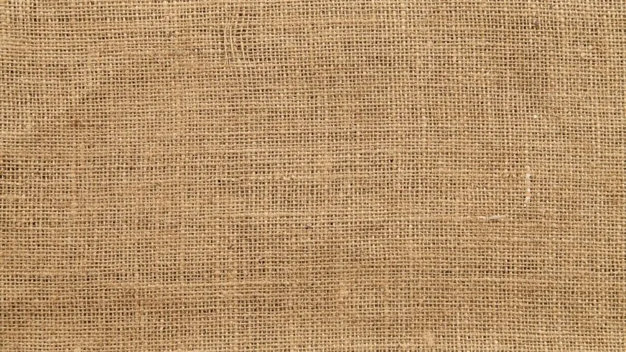 Close-up of natural, organic fabric textures showing safe material quality for pet care products