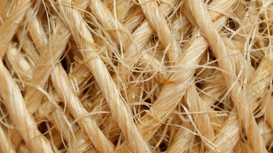 Close-up of natural sisal rope texture showing coarse fibers suitable for cat scratching posts