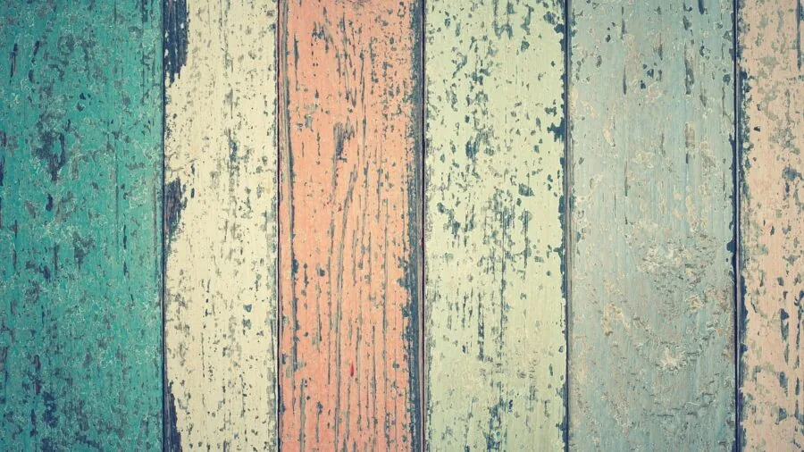 Close-up of natural wood textures and pet-safe materials in warm lighting