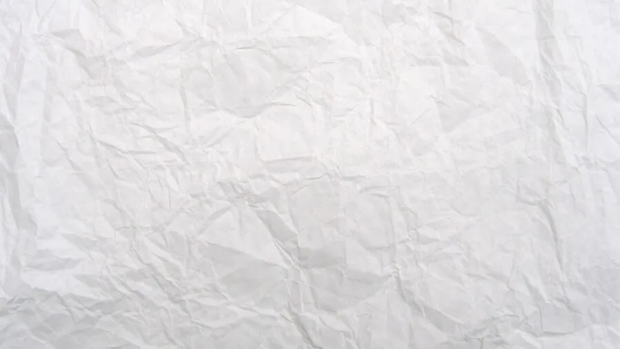 Close-up of plain white paper texture showing natural fibers and clean surface