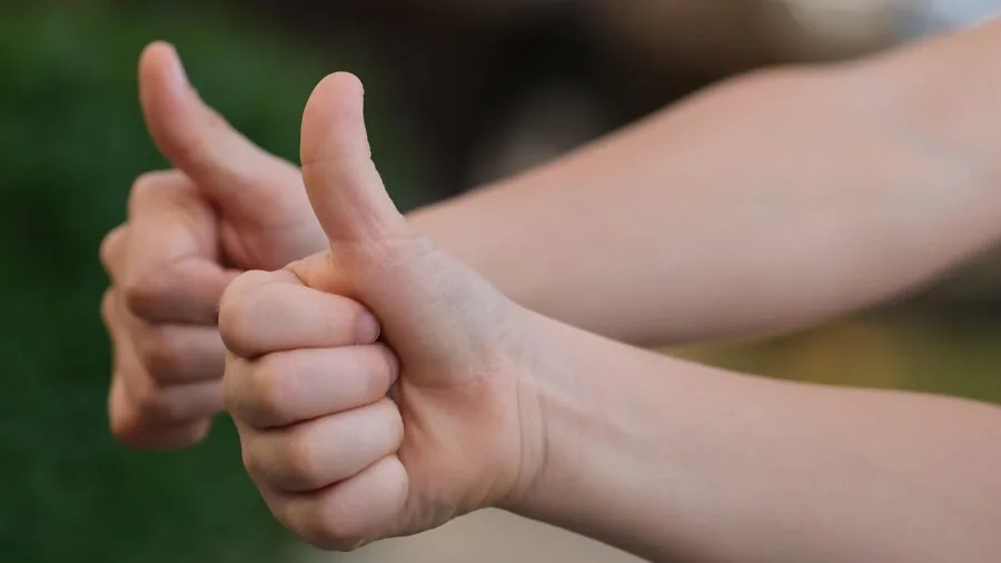 Close-up of trainer's hand using clicker device during dog obedience training session
