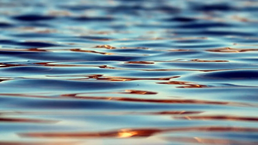 Close-up of water-resistant fabric material showing texture and durability in natural lighting