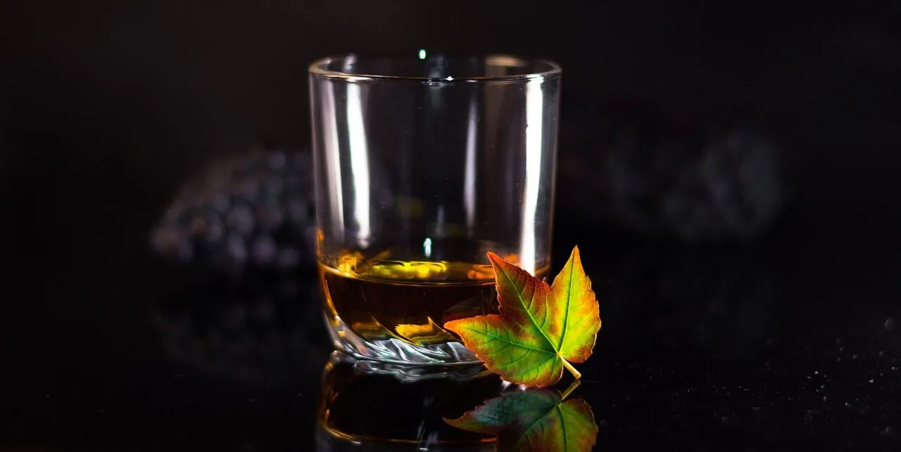 The Best Whiskey Glasses for Every Pour and Budget